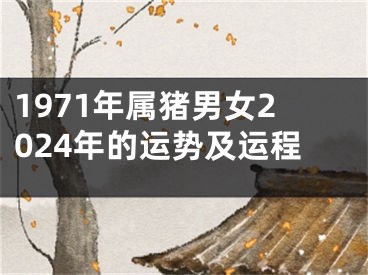 1971年属猪男女2024年的运势及运程