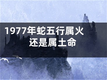1977年蛇五行属火还是属土命