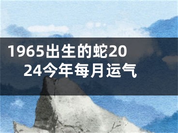 1965出生的蛇2024今年每月运气