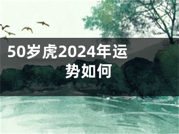 50岁虎2024年运势如何