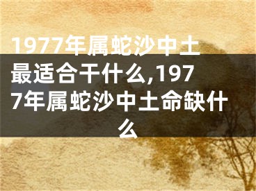1977年属蛇沙中土最适合干什么,1977年属蛇沙中土命缺什么