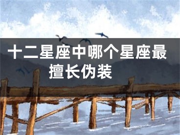 十二星座中哪个星座最擅长伪装 