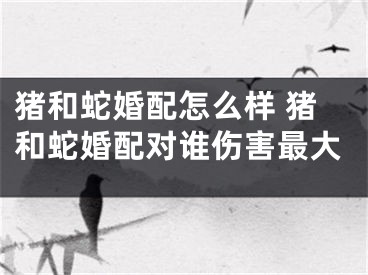 猪和蛇婚配怎么样 猪和蛇婚配对谁伤害最大