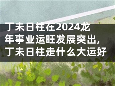 丁未日柱在2024龙年事业运旺发展突出,丁未日柱走什么大运好