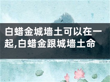 白蜡金城墙土可以在一起,白蜡金跟城墙土命