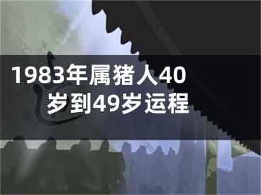 1983年属猪人40岁到49岁运程