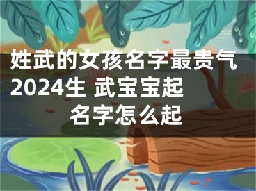 姓武的女孩名字最贵气2024生 武宝宝起名字怎么起