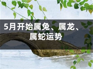 5月开始属兔、属龙、属蛇运势