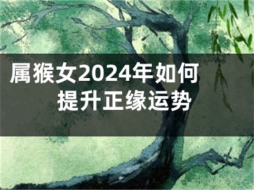 属猴女2024年如何提升正缘运势