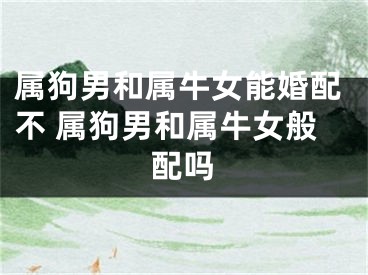 属狗男和属牛女能婚配不 属狗男和属牛女般配吗