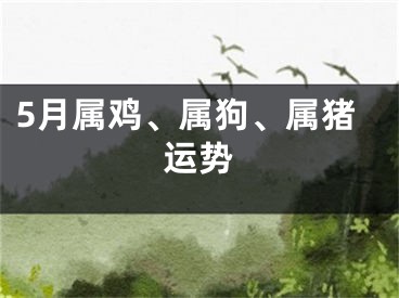 5月属鸡、属狗、属猪运势
