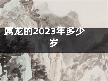 属龙的2023年多少岁