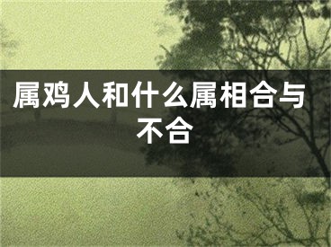属鸡人和什么属相合与不合