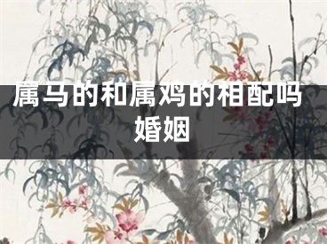 属马的和属鸡的相配吗婚姻
