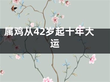 属鸡从42岁起十年大运