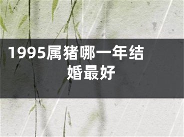 1995属猪哪一年结婚最好