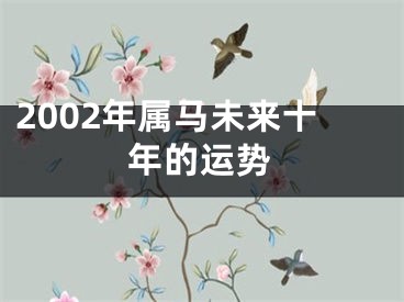 2002年属马未来十年的运势