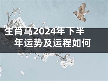 生肖马2024年下半年运势及运程如何