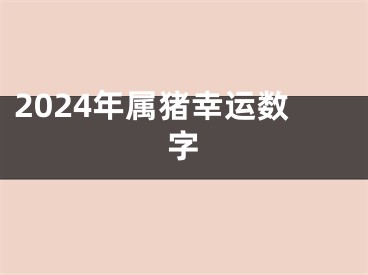 2024年属猪幸运数字