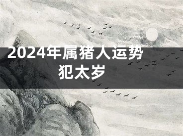 2024年属猪人运势犯太岁 
