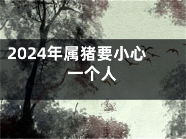 2024年属猪要小心一个人