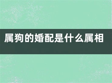 属狗的婚配是什么属相