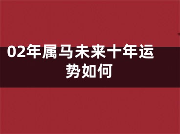 02年属马未来十年运势如何