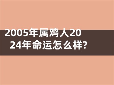 2005年属鸡人2024年命运怎么样?