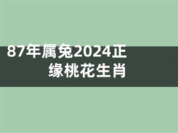 87年属兔2024正缘桃花生肖