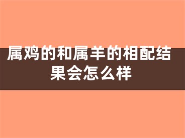 属鸡的和属羊的相配结果会怎么样