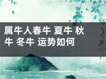 属牛人春牛 夏牛 秋牛 冬牛 运势如何 