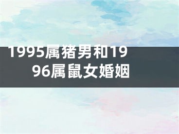 1995属猪男和1996属鼠女婚姻