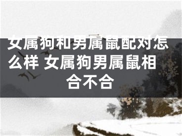 女属狗和男属鼠配对怎么样 女属狗男属鼠相合不合