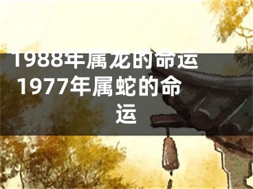 1988年属龙的命运 1977年属蛇的命运