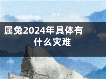 属兔2024年具体有什么灾难