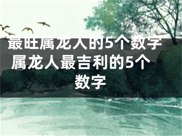 最旺属龙人的5个数字 属龙人最吉利的5个数字