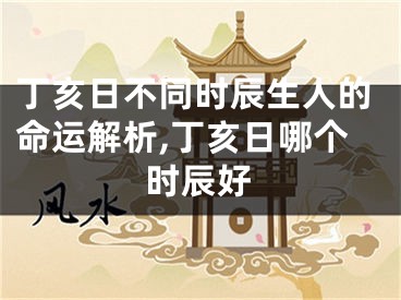 丁亥日不同时辰生人的命运解析,丁亥日哪个时辰好