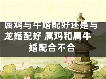 属鸡与牛婚配好还是与龙婚配好 属鸡和属牛婚配合不合