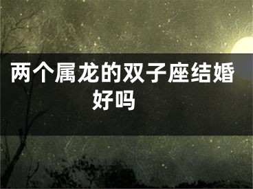 两个属龙的双子座结婚好吗 