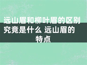 远山眉和柳叶眉的区别究竟是什么 远山眉的特点