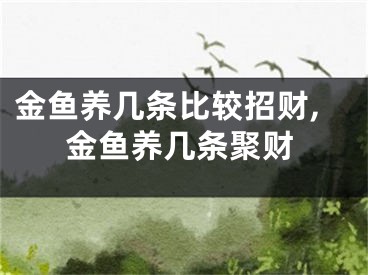 金鱼养几条比较招财,金鱼养几条聚财