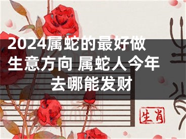 2024属蛇的最好做生意方向 属蛇人今年去哪能发财