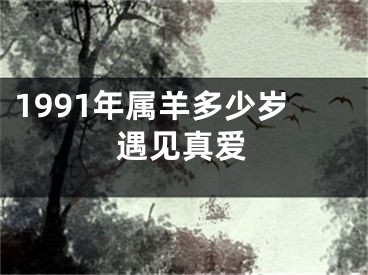 1991年属羊多少岁遇见真爱