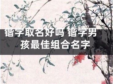 锴字取名好吗 锴字男孩最佳组合名字