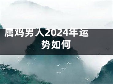 属鸡男人2024年运势如何