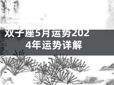 双子座5月运势2024年运势详解