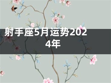 射手座5月运势2024年