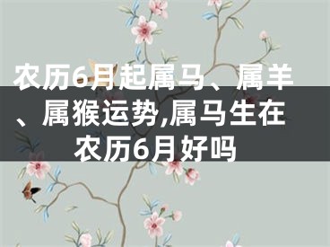 农历6月起属马、属羊、属猴运势,属马生在农历6月好吗