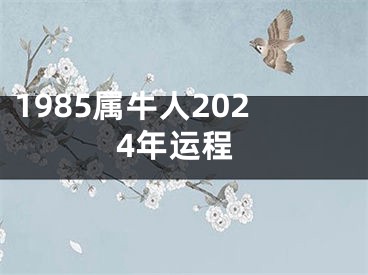 1985属牛人2024年运程