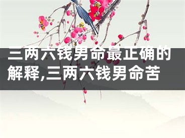 三两六钱男命最正确的解释,三两六钱男命苦